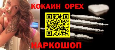 стафф Кандалакша
